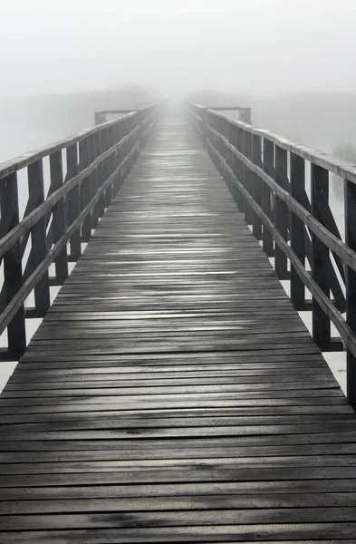 Holzsteg Auf Dem Meer — Stockfoto