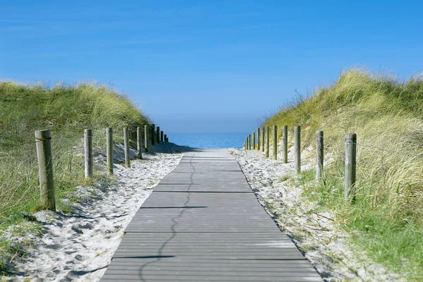 Pad Door Duinen — Stockfoto