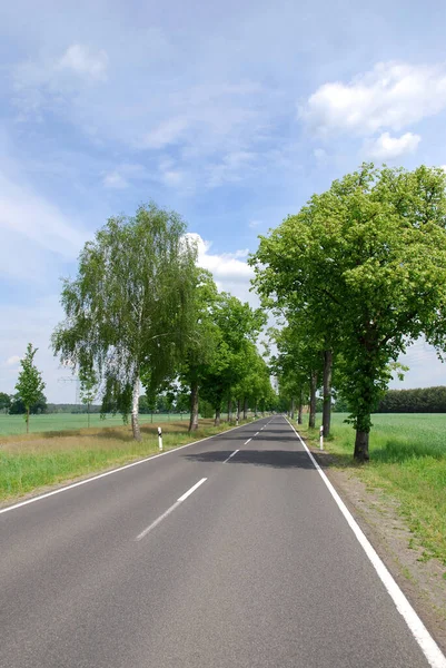 Asfalto Strada Superficie Modo Distanza — Foto Stock