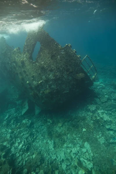 Wrack Des Kormorans — Stockfoto