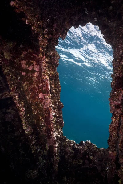 Paisaje Cormorano Submarino Mar Rojo — Foto de Stock