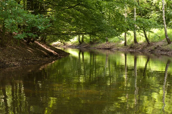 Forest River Auf Naturlandschaft Hintergrund — Stockfoto