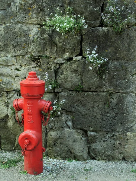 Hidrante Fogo Vermelho Parque — Fotografia de Stock