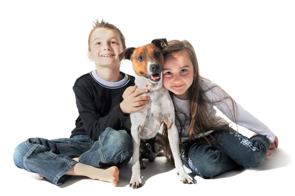 白い背景に子犬の純粋なジャックラッセルテリアと子供の肖像画 — ストック写真