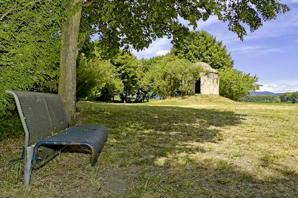 夏の公園の景色は — ストック写真