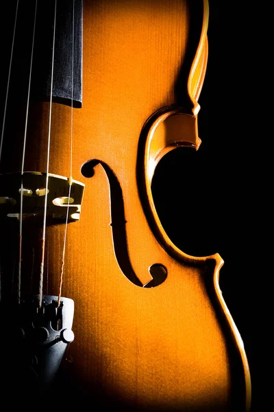 Violín Sobre Fondo Negro — Foto de Stock