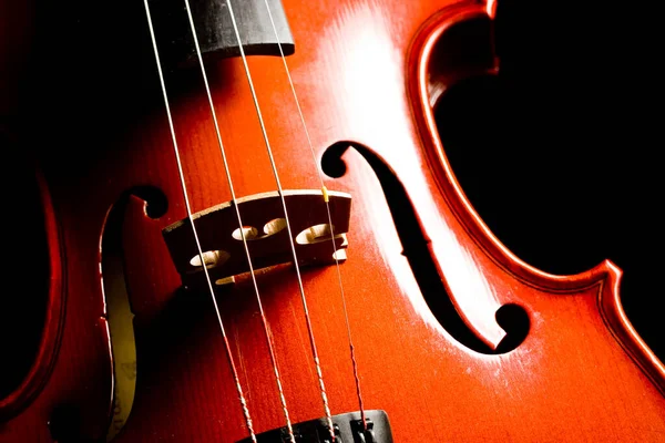 Close Violino Fundo Preto — Fotografia de Stock