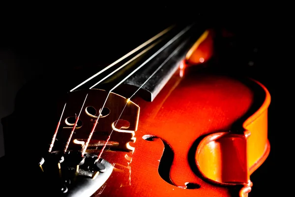 Violon Instrument Musique Musique — Photo