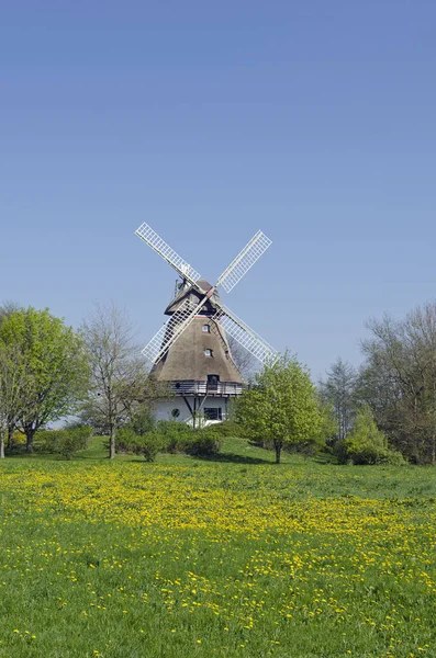 Väderkvarn Bobeck Schleswig Holstein — Stockfoto