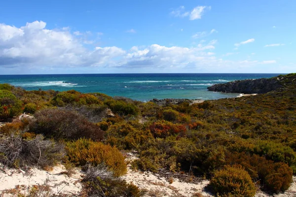 Rottnest Island Australia — Stock Photo, Image