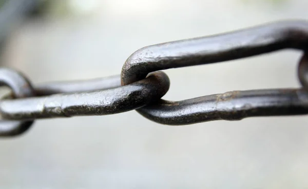 Cadena Hierro Eslabón Por Eslabón —  Fotos de Stock