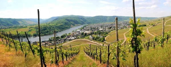 Moselle Est Une Rivière Qui Traverse France Luxembourg Allemagne — Photo