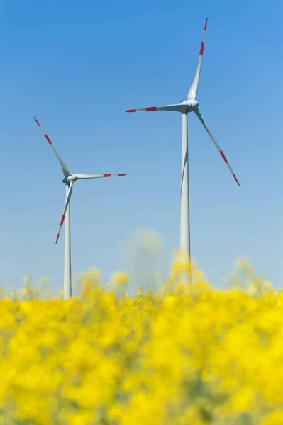 Vindkraftverk Ett Rapsfält — Stockfoto