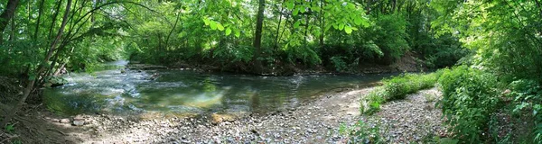 Long Rivière Sur Fond Paysage Naturel — Photo