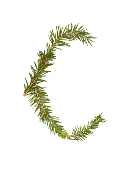 Spruce Twigs Forming Letter 039 — Stockfoto