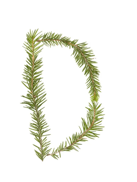 Spruce Twigs Forming Letter 039 — Φωτογραφία Αρχείου