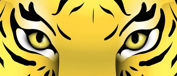 Augen Eines Tigers — Stockfoto
