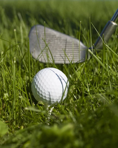 Golf Ball Golf Club Green Gras — Stock Photo, Image