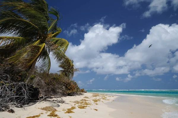 Bella Spiaggia Tranquilla Concetto Viaggio — Foto Stock