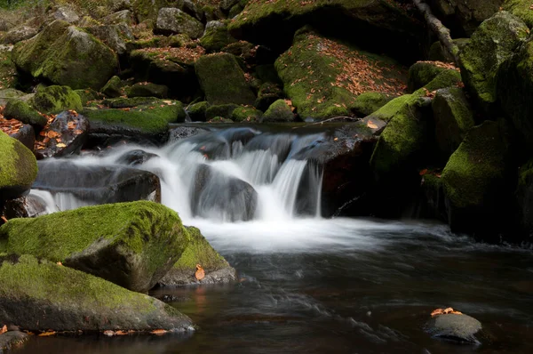 Pittoresk Uitzicht Natuur — Stockfoto