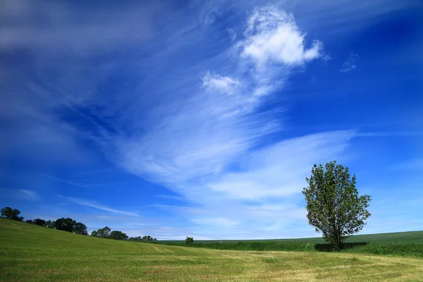 Красивый Облачный Фон Неба — стоковое фото