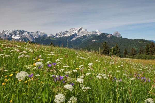 Vista Delle Alpi Calcaree Settentrionali — Foto Stock