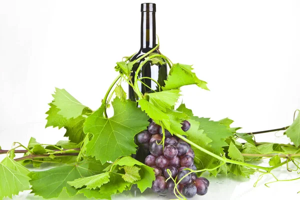 Bottle Red Wine Vine Leaves Tendrils — Stock Photo, Image