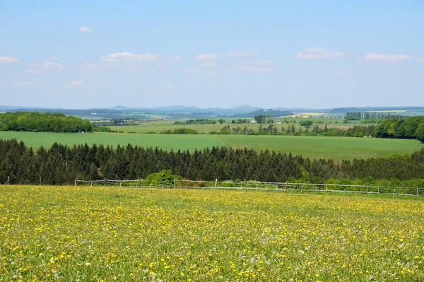 Landscape Eifel Spring — Stock fotografie