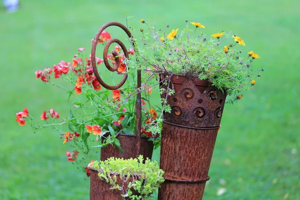 Verschillende Bloemen Selectieve Focus — Stockfoto