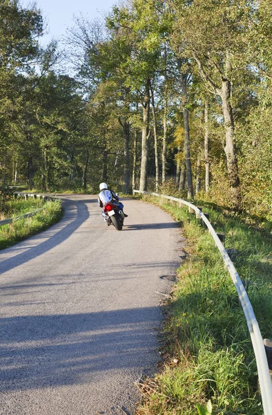 在森林里的乡间路上骑摩托车 — 图库照片