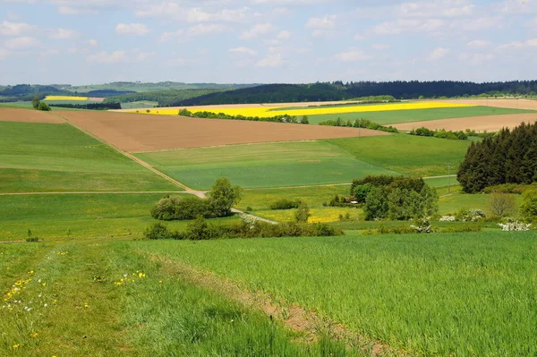 Green River Valley Eifel — Stock Photo, Image