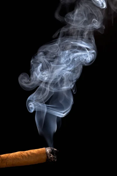 黑底香烟 — 图库照片
