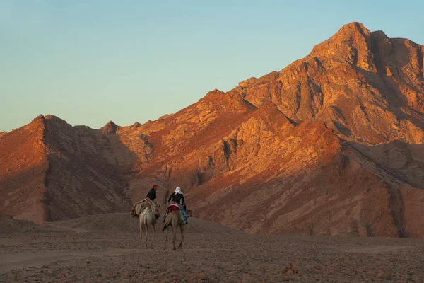 Tourists Desert — Stock Photo, Image