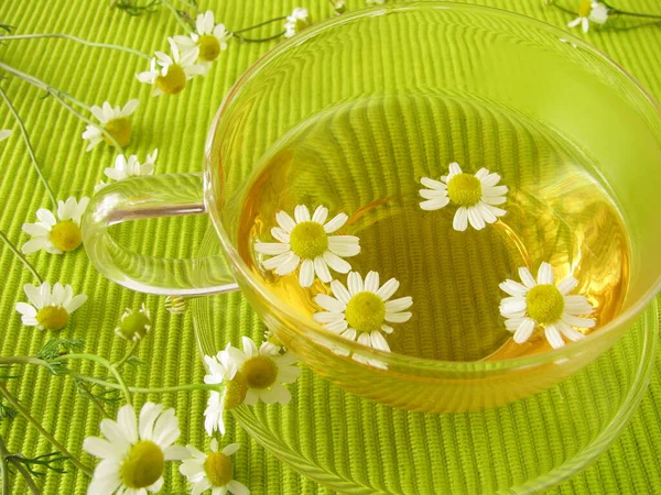 Chamomile Tea Herbal Drink — Stock Photo, Image