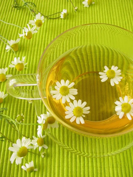 Chamomile Tea Herbal Drink — Stock Photo, Image