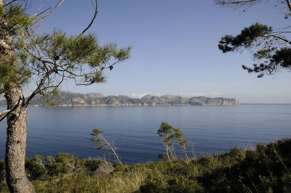 Vista Sulla Penisola Forentor — Foto Stock