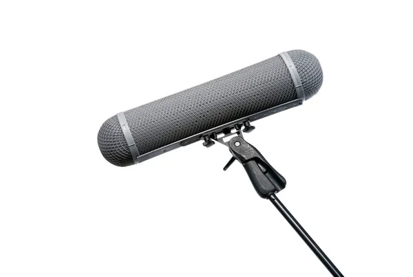 Mikrofon Koruma Sepetini Mikrofona Yerleştir — Stok fotoğraf