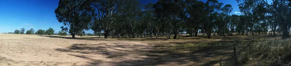 Panorama Van Outback Bushland Zuid Australië — Stockfoto