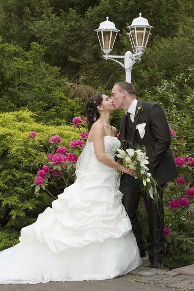 Newlyweds Standing Together Portrait Royalty Free Stock Images