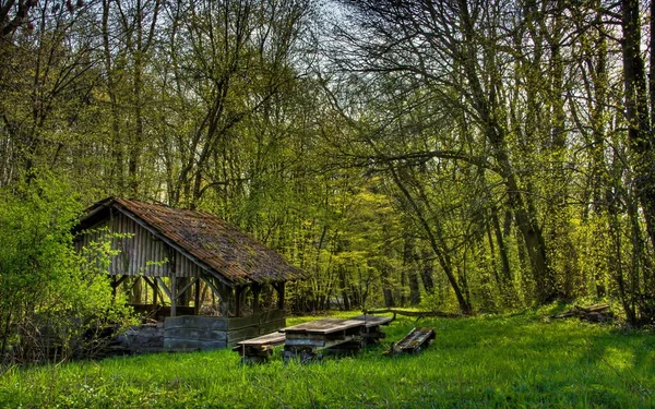 Schöne Aussicht Auf Die Natur — Stockfoto