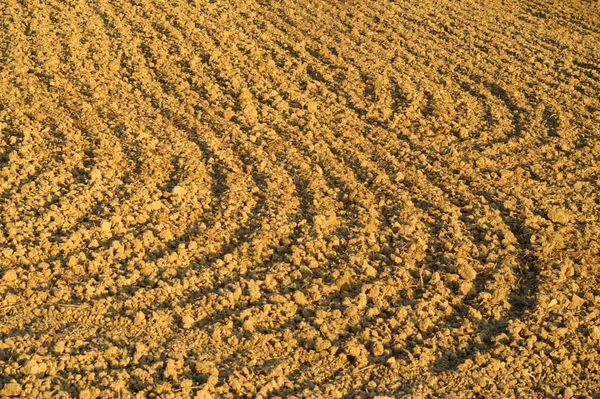 Вспаханное Поле Бороздами Отображаемыми Почве — стоковое фото