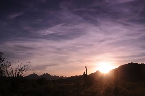 Lever Soleil Frais Dans Désert Centre Arizona — Photo