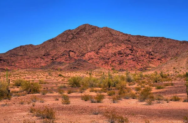 Vulkanische Woestijn Berg Arizona — Stockfoto