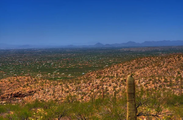 Wazige Dag Voor Stad Tucson Arizona — Stockfoto