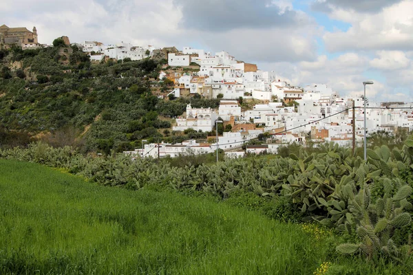 Vista Ciudad — Foto de Stock