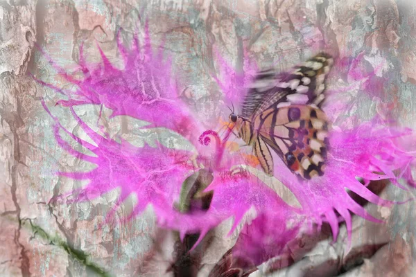 Exotisk Fjäril Med Vingar Insekt — Stockfoto