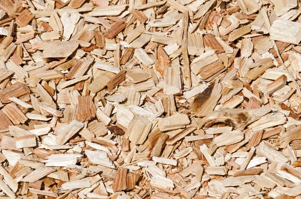 Pile Dry Wood Texture — Stock Photo, Image