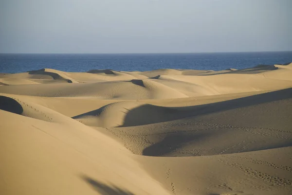 沙丘景观 有选择的焦点 — 图库照片
