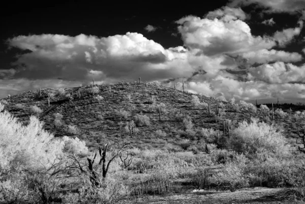 Monochromatická Pouštní Bouře Nad Jihozápadní Pouští Horami — Stock fotografie