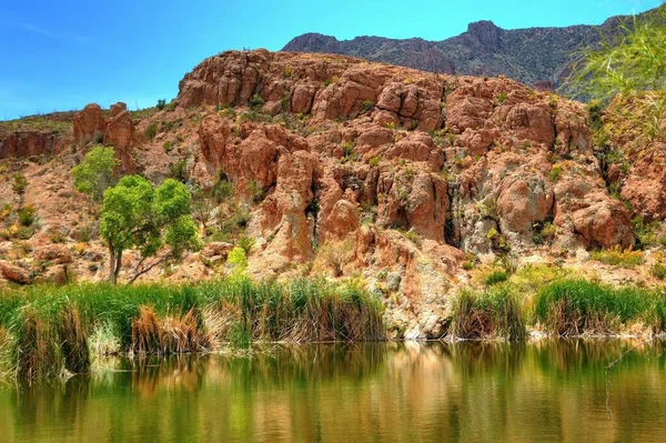 Manhã Adiantada Uma Lagoa Deserto Inverno — Fotografia de Stock